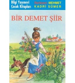 Bİr Demet Şiir Mehmet Kadri Sümer Bilgi Yayınevi 
