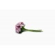 Pıtırcık Tohum Yapay Çiçek PT-5531