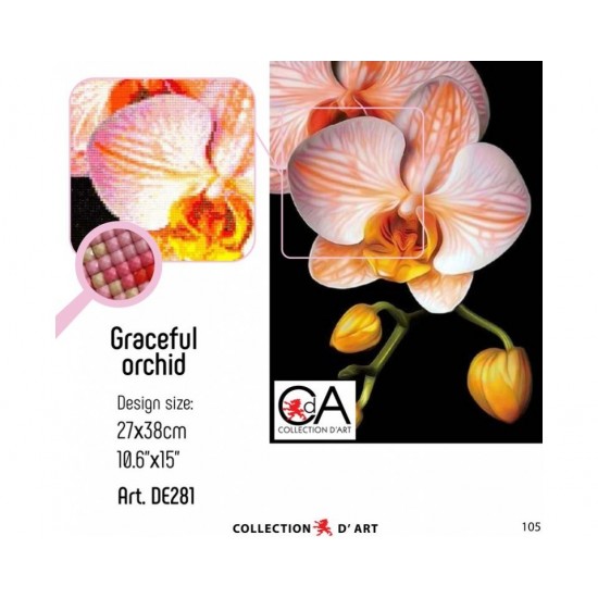 Collection D'art Elmas Nakışı Taş Yapıştırma Zarif Orkide DE281